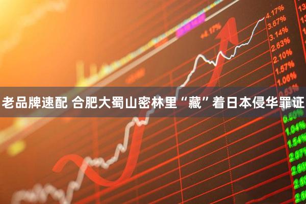 老品牌速配 合肥大蜀山密林里“藏”着日本侵华罪证