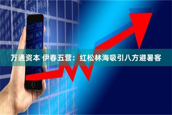 万通资本 伊春五营：红松林海吸引八方避暑客