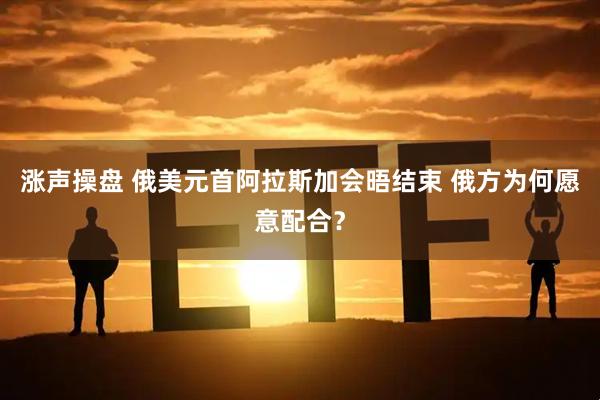 涨声操盘 俄美元首阿拉斯加会晤结束 俄方为何愿意配合？