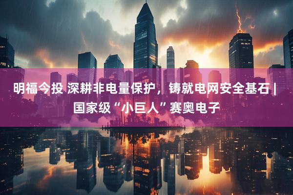 明福今投 深耕非电量保护，铸就电网安全基石 | 国家级“小巨人”赛奥电子