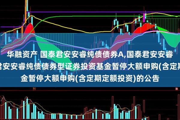 华融资产 国泰君安安睿纯债债券A,国泰君安安睿纯债债券C: 国泰君安安睿纯债债券型证券投资基金暂停大额申购(含定期定额投资)的公告