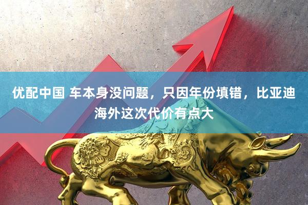 优配中国 车本身没问题，只因年份填错，比亚迪海外这次代价有点大
